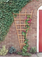 Fan Trellis golden0.9x1.8m